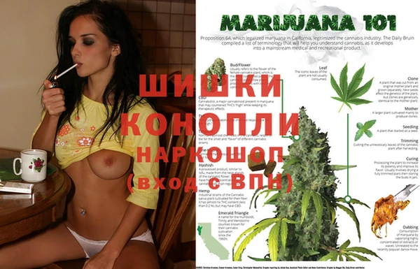 гидропоника Наволоки