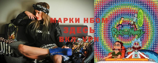 твердый Абаза