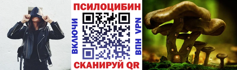 закладка  Бокситогорск  Галлюциногенные грибы MAGIC MUSHROOMS 