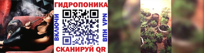 Бошки марихуана Ganja Бокситогорск